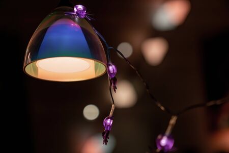 Halloween fairy lights with spiders on pendant lampの写真素材