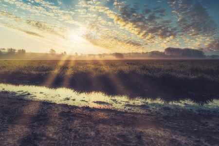Sunrise with sun rays on a wide field with a reflective puddle in the foregroundの写真素材