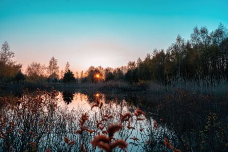 Foggy sunrise on a small pond with water reflectonsの写真素材