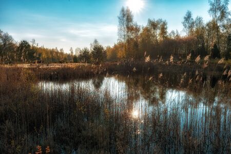 Sun in colorful mood on a lakeの写真素材