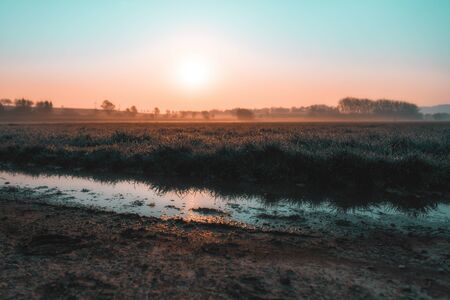 Sunrise with sun rays on a wide field with a reflective puddle in the foregroundの写真素材