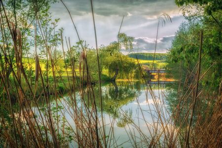 A nicer sunset on a small bridge with aquatic plants surrounding fields in the backgroundの写真素材