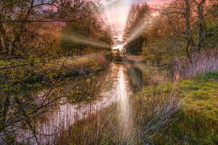 A purple sunset on a small river in the middle of the forestの写真素材