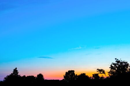 An orange sunset against a blue sky in the shade of treesの写真素材
