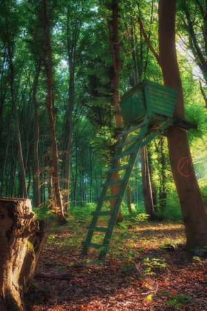 A hunter high chair in the middle of the forest while the sun setsの写真素材