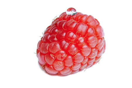 Macro close up of a red raspberry with a water drop on topの写真素材