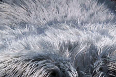 A fur-like silver gray carpet structure, close-upの写真素材