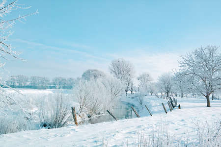 A snow-covered landscape in the winter sunの写真素材