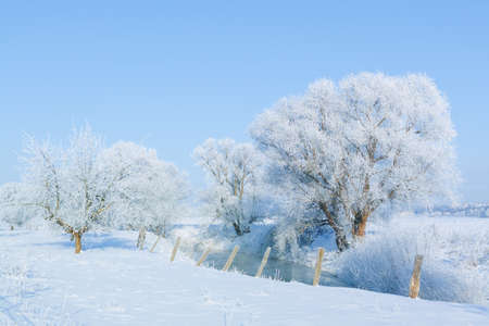 A snow-covered landscape in the winter sunの写真素材