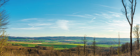 A sunny colorful evening panorama landscape with meadows and fields.の写真素材