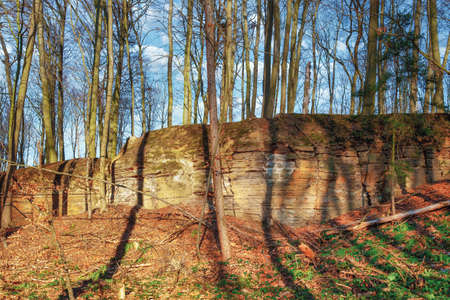 A multilayered rock face in a sunny atmosphere in the bare forestの写真素材