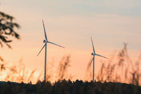 Modern pinwheels in a forest at sunriseの写真素材
