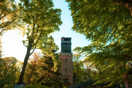 An old lookout tower in the sunny forestの写真素材