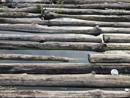 field of abandoned logs soak in water in daylight