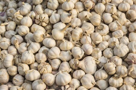 background of many garlic in display sell stallの写真素材