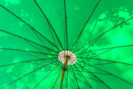 background of tree shadow on green umbrella in sunlightの写真素材