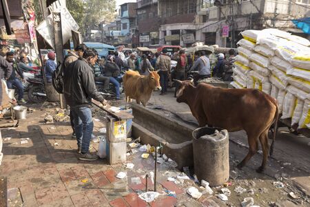 DELHI INDIA - DEC 20 :  unidentified india people and life in rush hour at spice market. this market is famous and large spice market in delhi on december, 20, 2014, indiaのeditorial素材