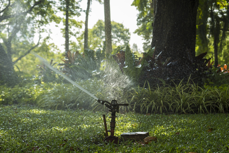 springer spray water in public park in day timeの写真素材