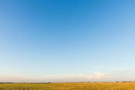 scene of blue sky and green field outside suvarnabhumi airport, bangkok, Thailand.