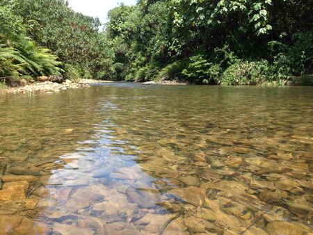 A river with clear waterの素材