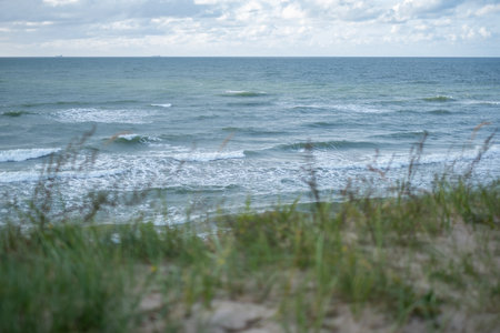 The wind sways the sea and the green grass in the sand dunes. Waves in the sea in windy weather in the background. copy spaceの写真素材