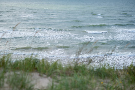 The wind sways the sea and the green grass in the sand dunes. copyspace. blurred foregroundの写真素材