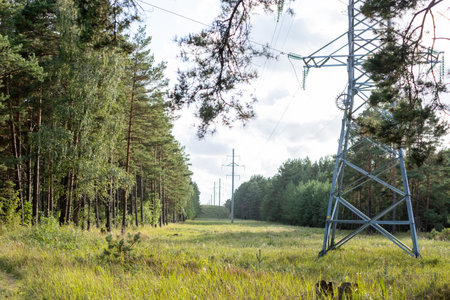 Electricity supply green path through the forest. Forest and blue clear sky in the background. copyspace. high quality photoの写真素材