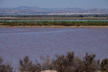 A salt lake with briny pink waters, foregrounded by shrubs, with distant mountains and clear skies. High quality photoの写真素材