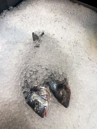 Two fish resting on crushed ice, highlighting their shiny scales and natural colors, creating an...