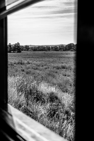 View from the window of an old abandoned house. Black and white photo.