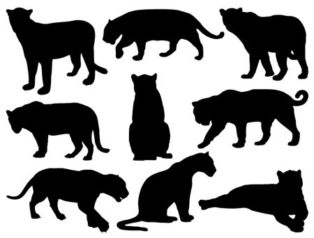 Set of silhouettes of Jaguar on a white background. Vector illustrationのイラスト素材