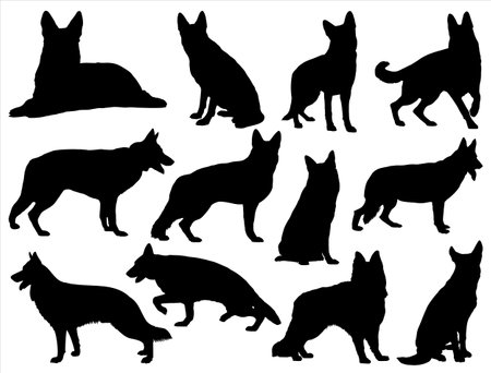 German Shepherd Dog Silhouettes - Vector Illustration, Isolated On White Backgroundのイラスト素材