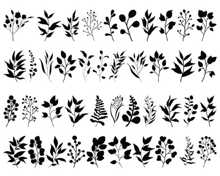 Set of black silhouettes of flowers and leaves. Vector illustration.のイラスト素材