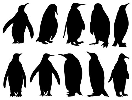 penguin silhouette set isolated on white background. vector illustration.のイラスト素材