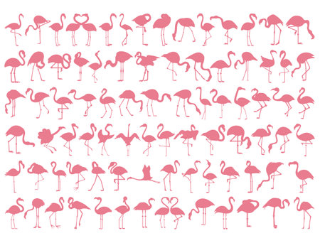 Set of Pink Flamingo Vector Artのイラスト素材