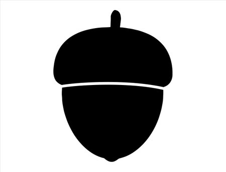 Acorn black silhouette isolated on white background. Vector illustration for your designのイラスト素材