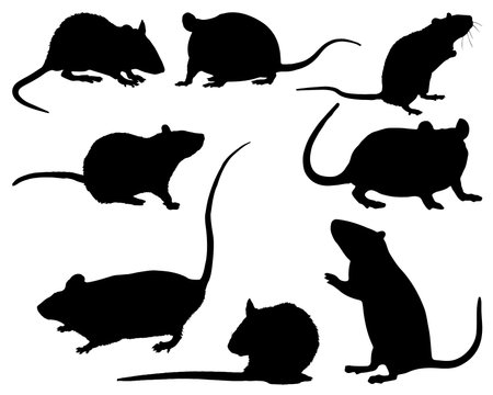 mouse silhouettes isolated on white background. Vector illustration of animal.のイラスト素材