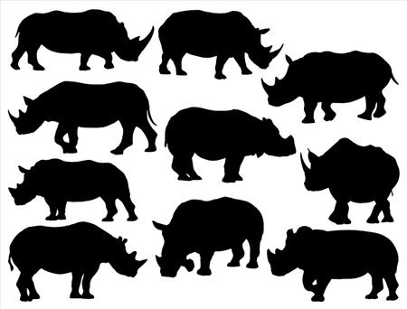 Black rhinoceros silhouettes isolated on white background. Vector illustration.のイラスト素材