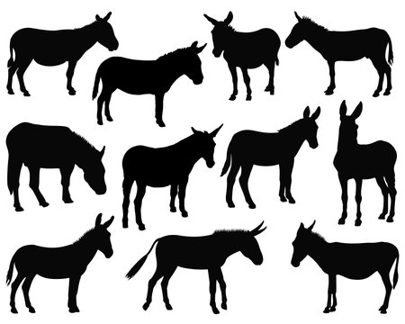 donkey silhouettes isolated on white background. vector illustration eps 10のイラスト素材