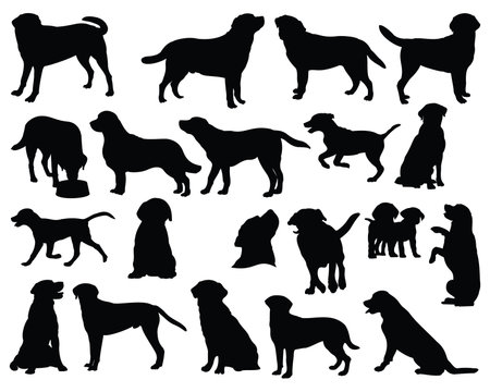 Labrador Retriever Dog Silhouettes. Vector Illustrationのイラスト素材