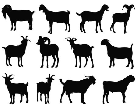 goat silhouettes isolated on white background, vector illustration, epsのイラスト素材