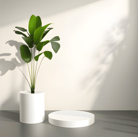3d render of white podium for product presentation with monstera plantの素材