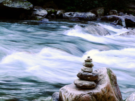 Alpine brook in austria europe