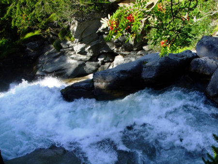 Alpine brook in austriaの写真素材