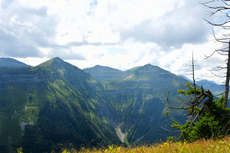 Mountain alps in austriaの写真素材