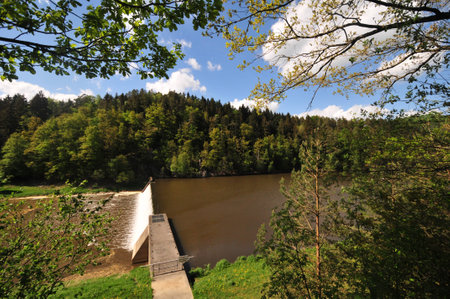 landscape bavarian forestの写真素材