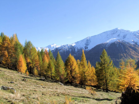 Landscape of the mountains at South Tyrol dolomitesの写真素材