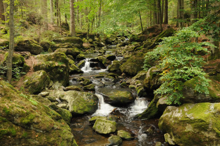 landscape of bavaria europe streamの写真素材