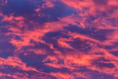 Bright pink clouds from a vibrant sunset, set against a blue skyの写真素材