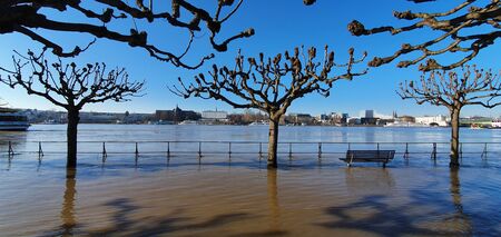 Flood in Bonn-Beuel germany photographed towards Bonn february 2020 in the morning, beautiful weather with blue sky the trees are still without leavesの写真素材